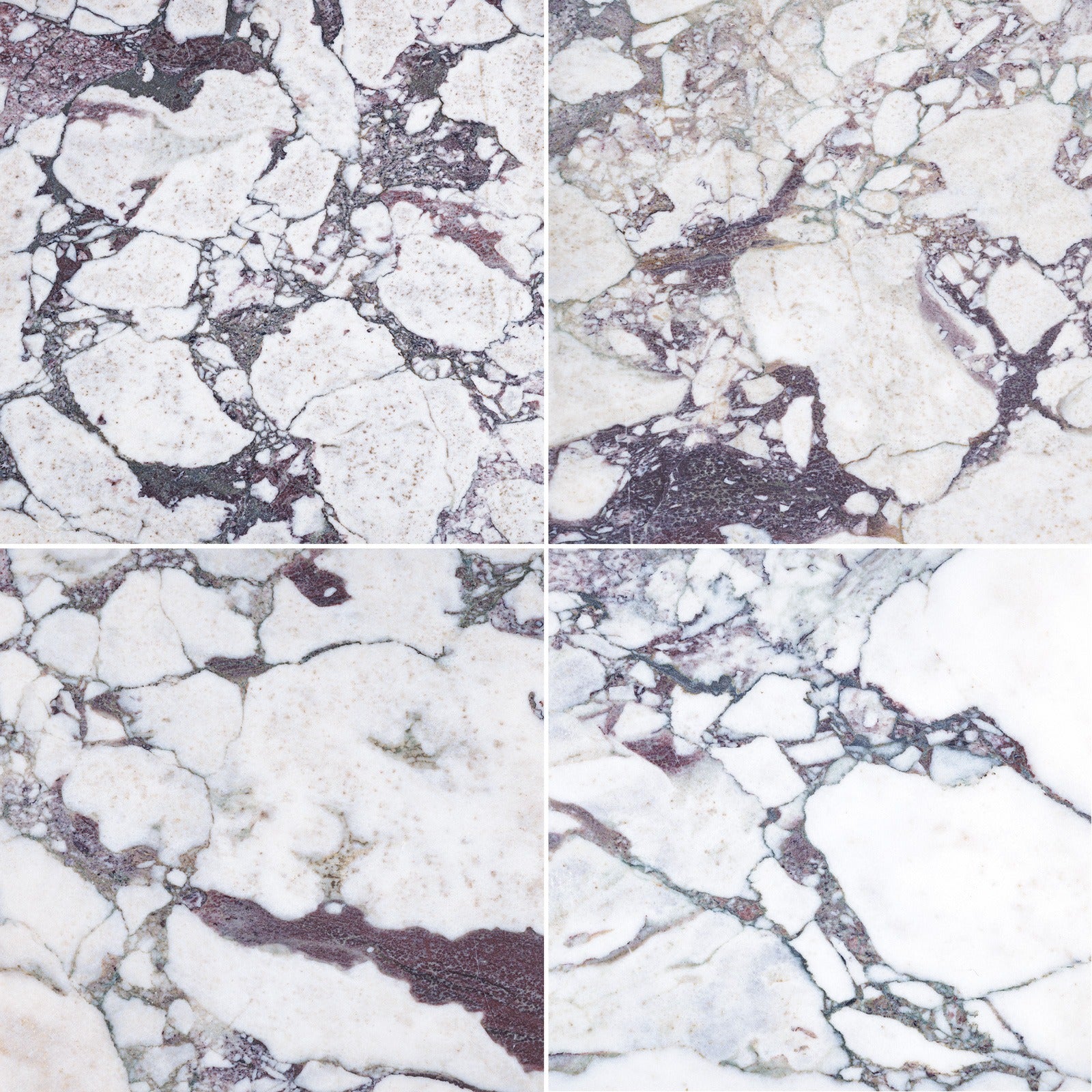 CALACATTA VIOLA: Field Tile (12"×12"×3/8" | polished)