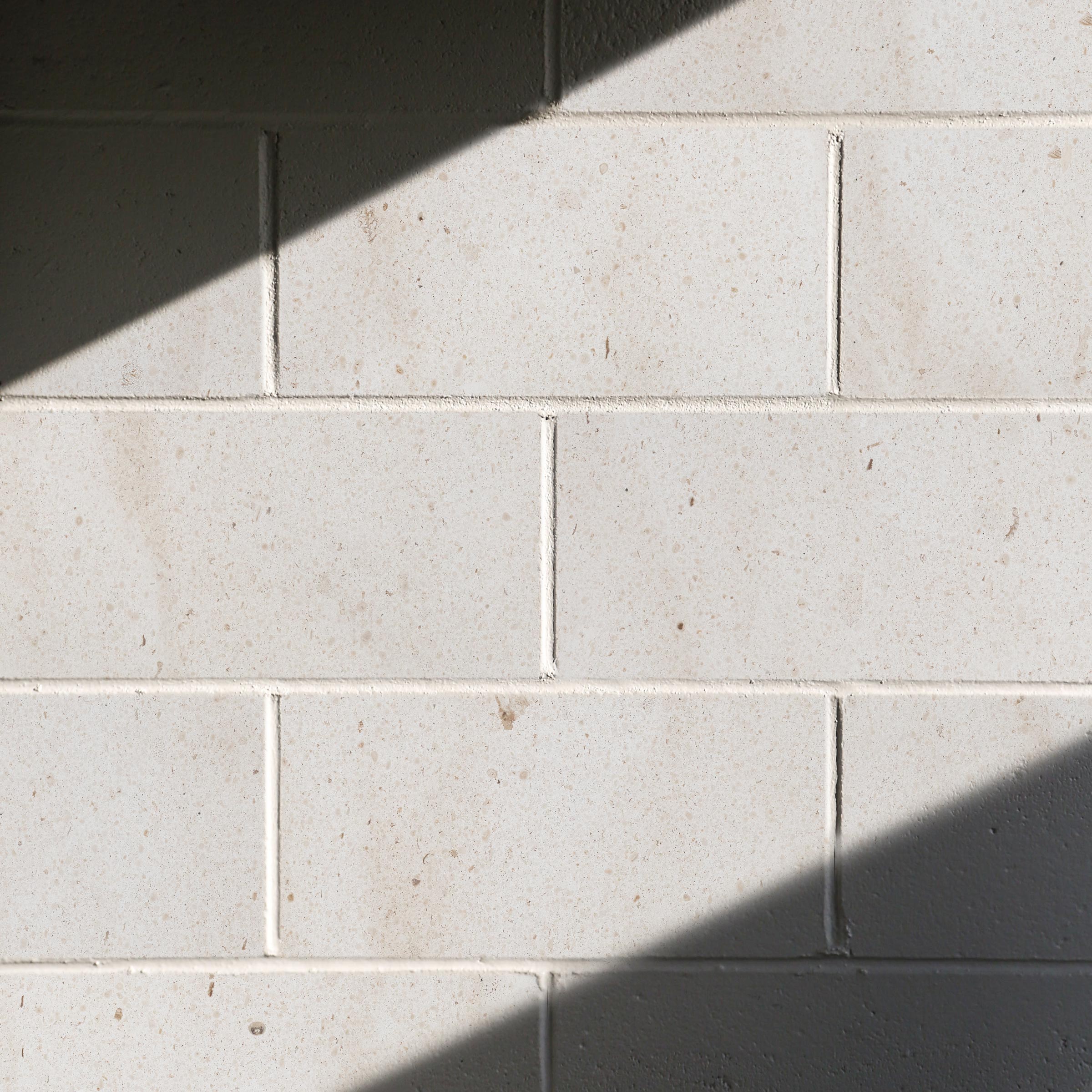 CREMA EUROPA: Field Tile (24"×24"×5/8" | honed)