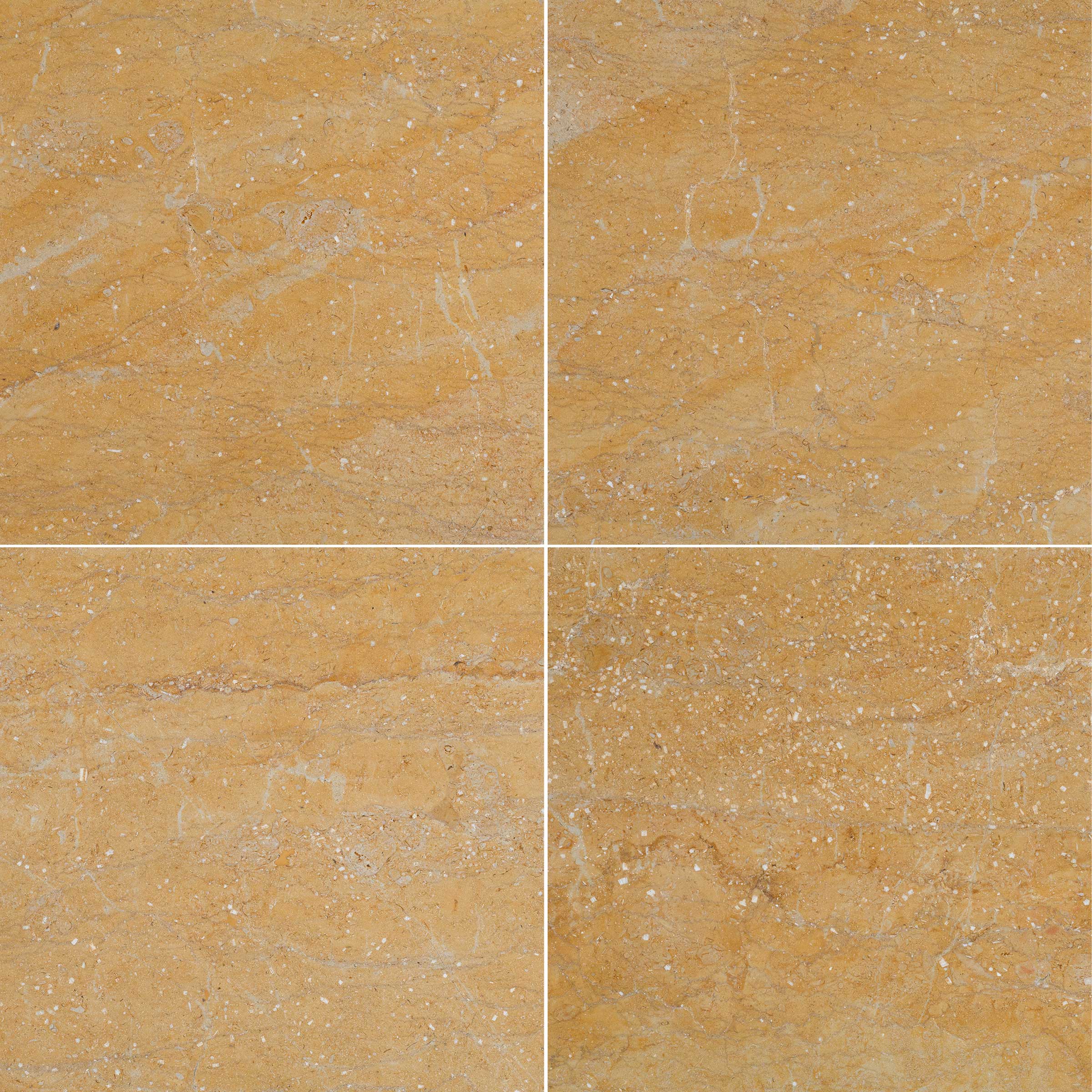 GIALLO REALE: Field Tile (12"×12"×3/8" | polished)