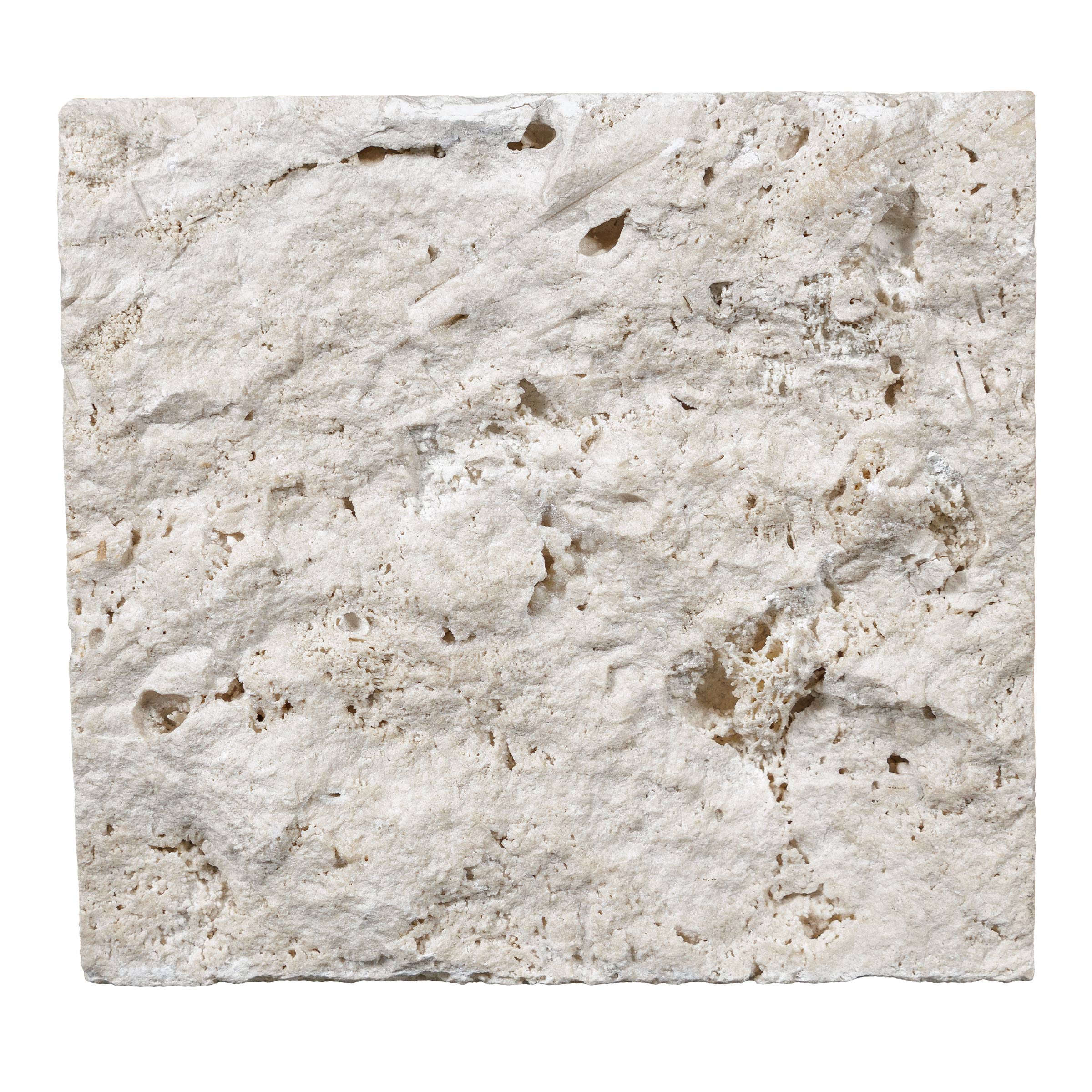 IVORY PREMIUM: Wall Veneer (8"×8"×1 1/4" | split-face)