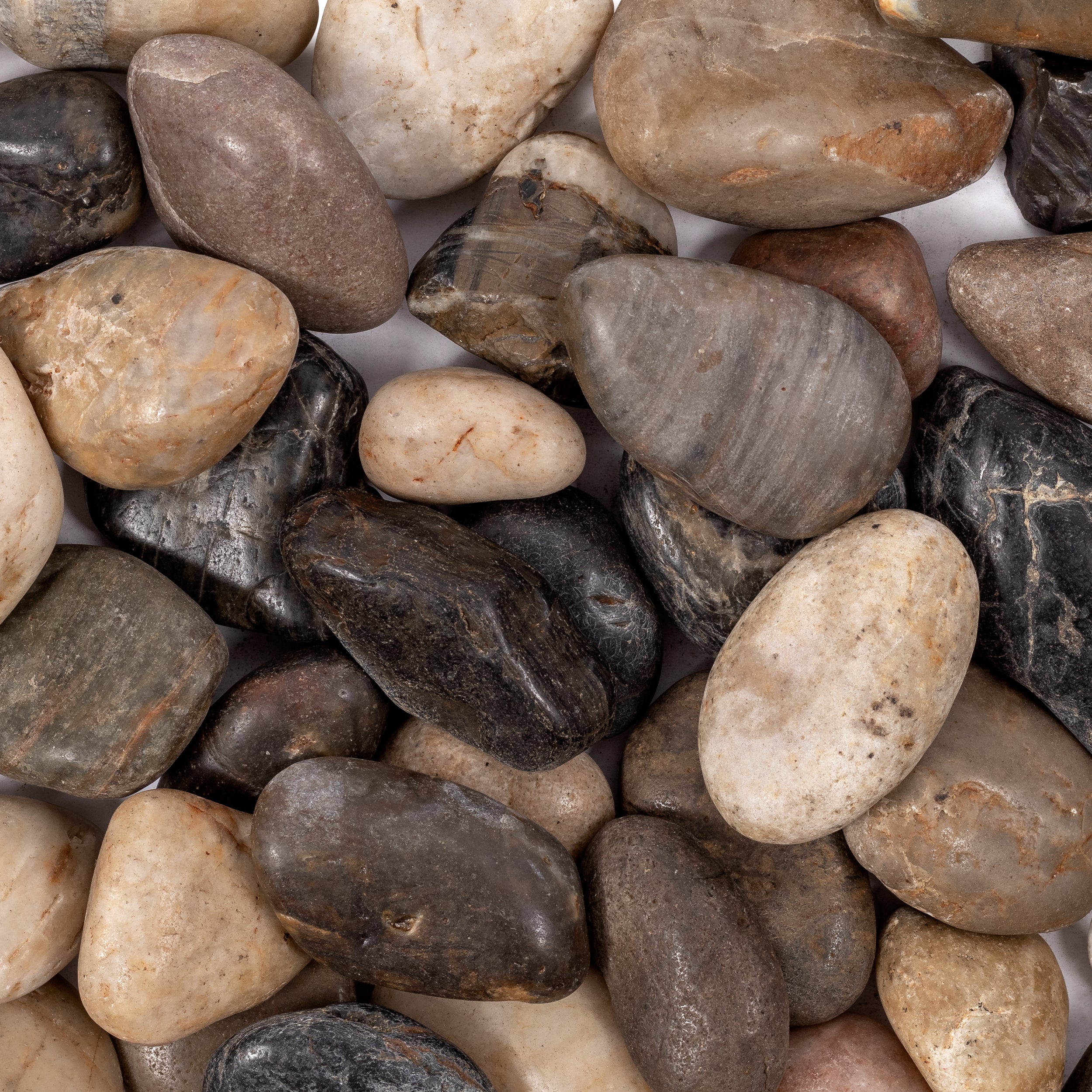 LOOSE PEBBLES: Loose Pebbles (polished | Medium) (3)