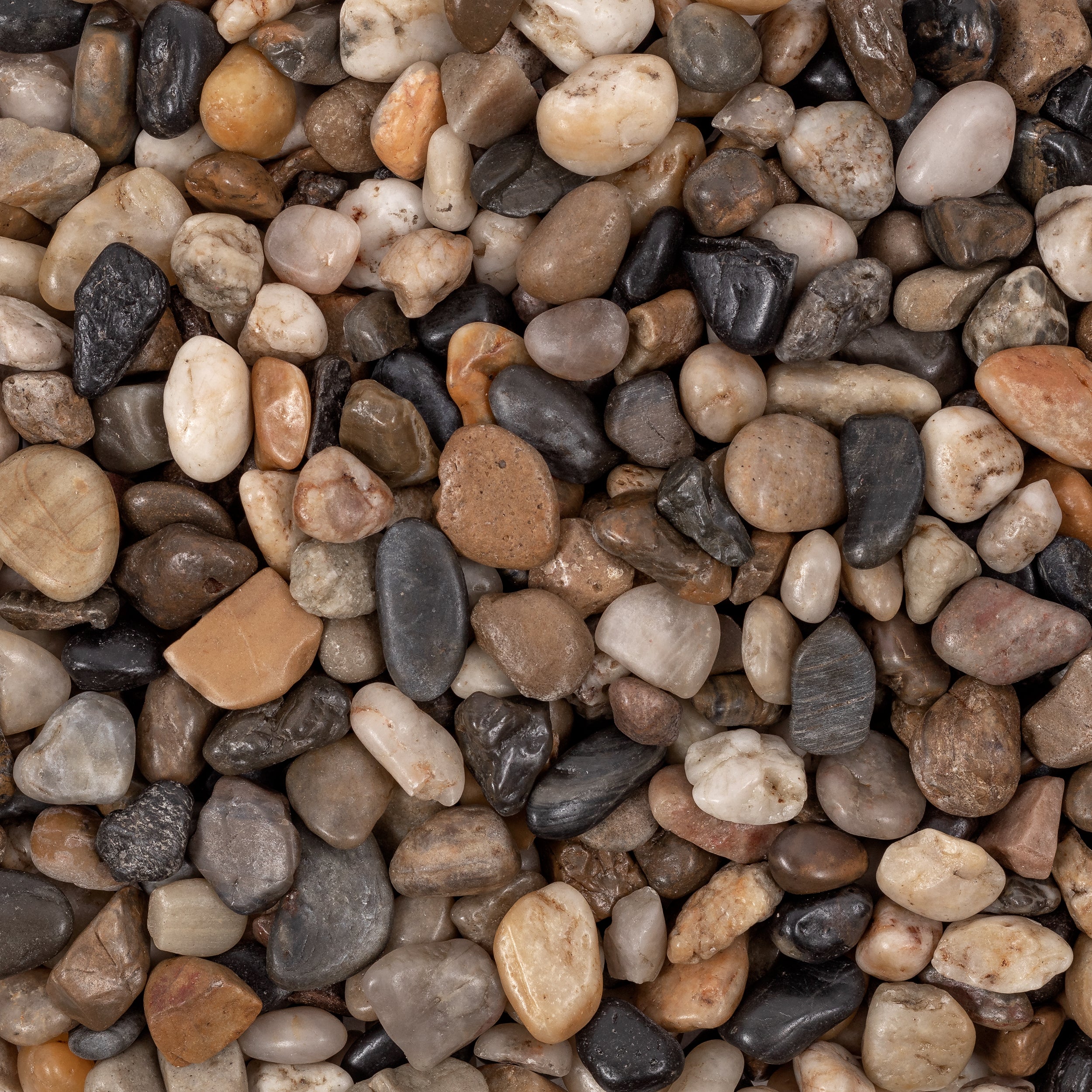 LOOSE PEBBLES: Loose Pebbles (polished | Small) (3)