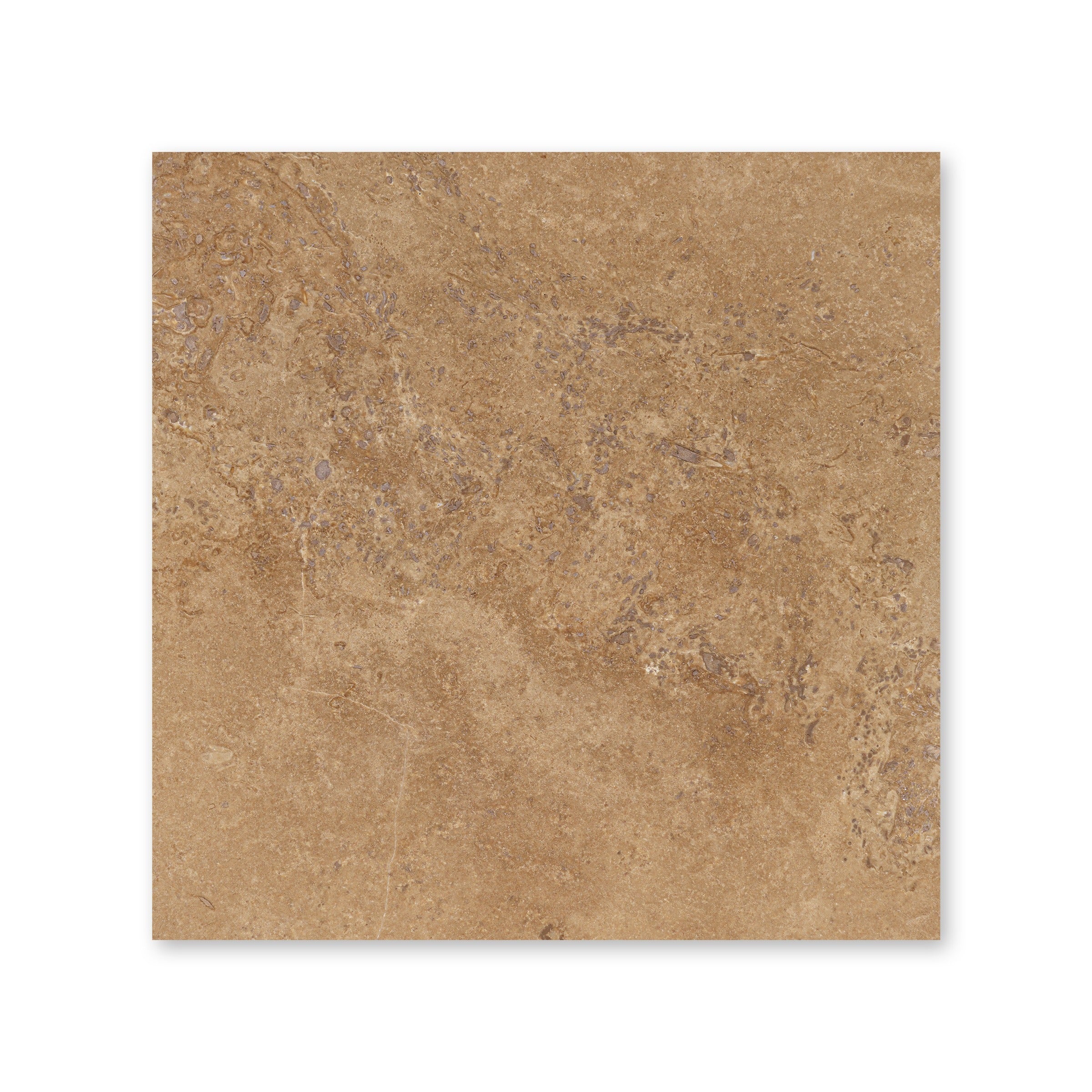 NOCE PREMIUM: Field Tile (12"×12"×3/8" | filled & honed)