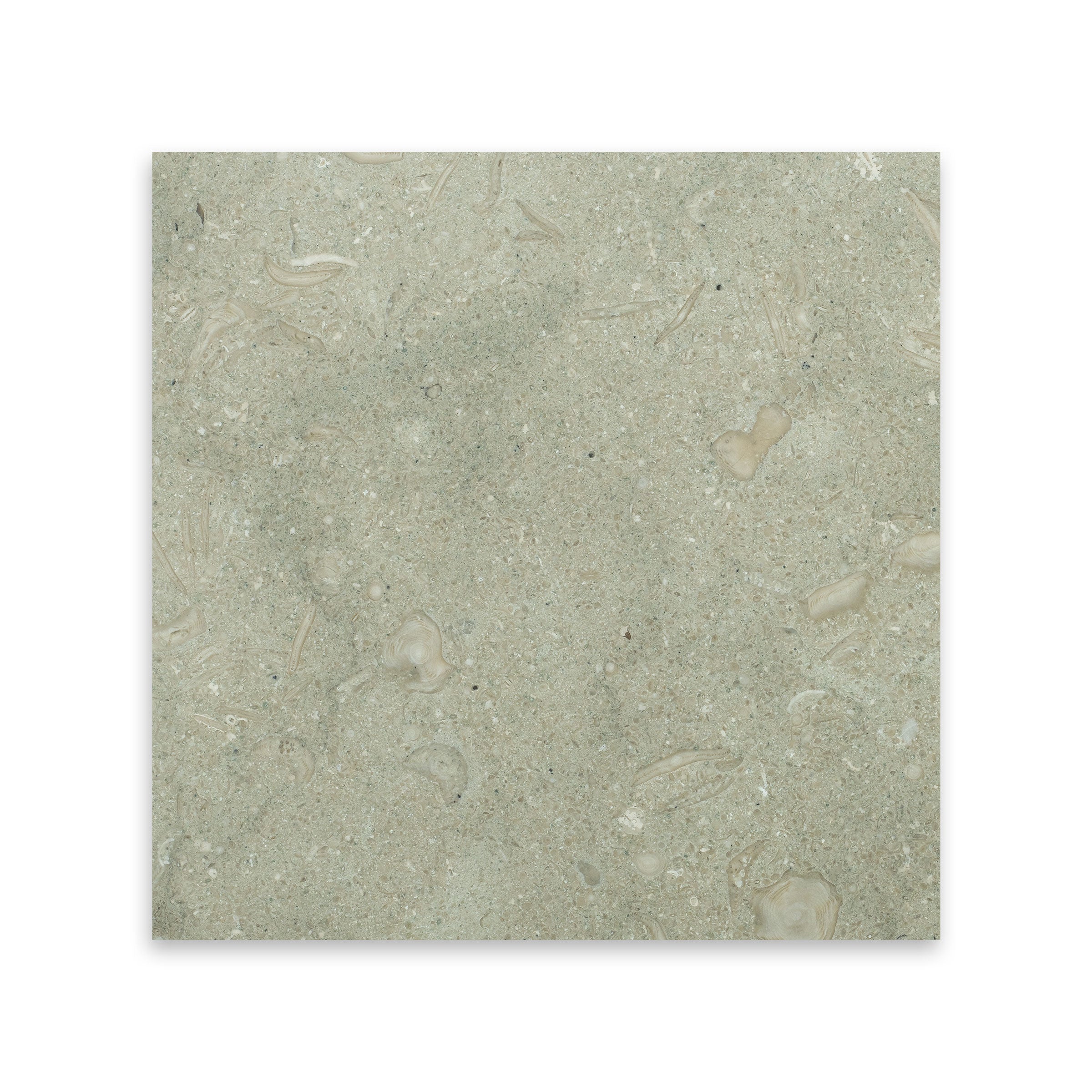 SEAGRASS: Field Tile (12"×12"×3/8" | honed)