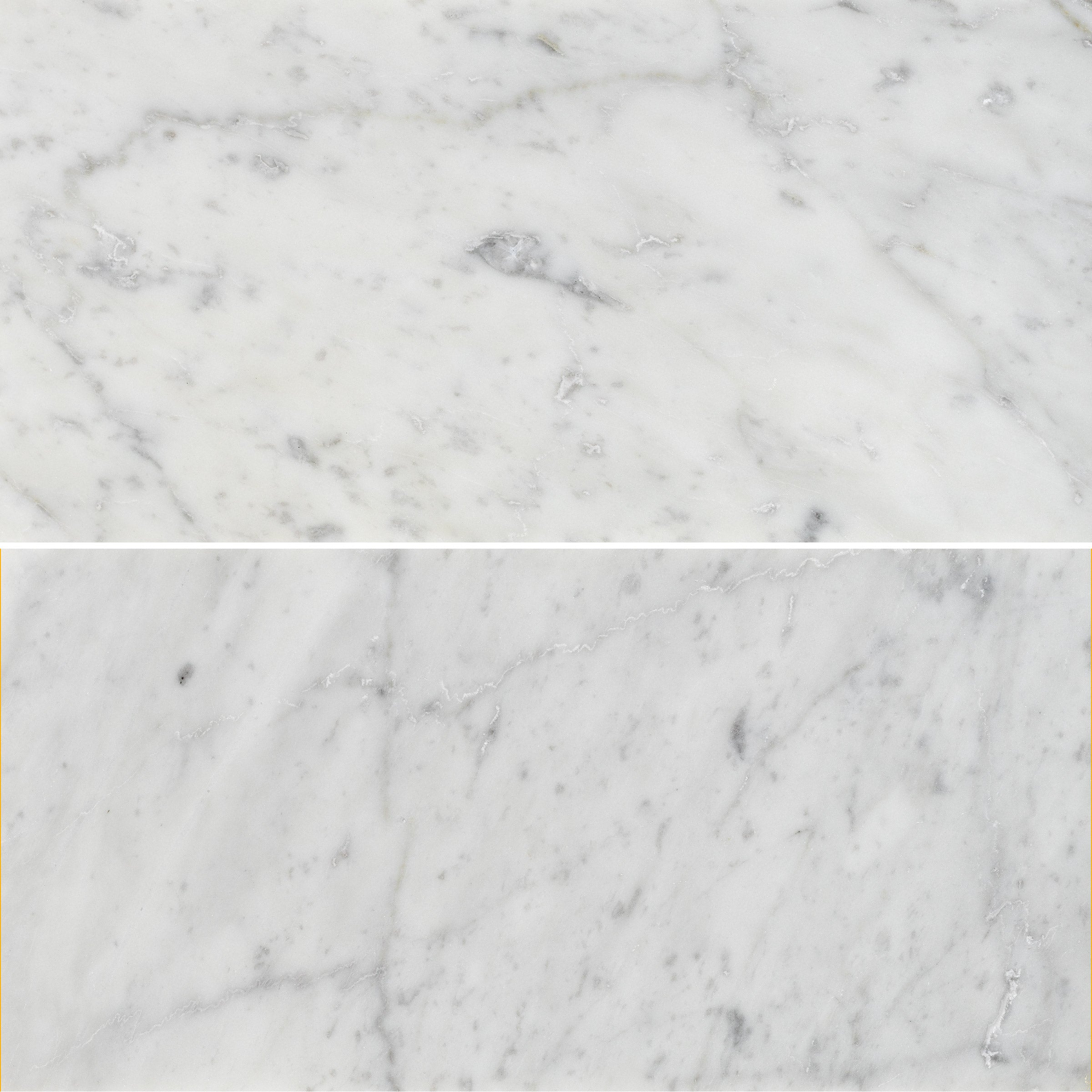 WHITE CARRARA: Field Tile (6"×12"×3/8" | polished)