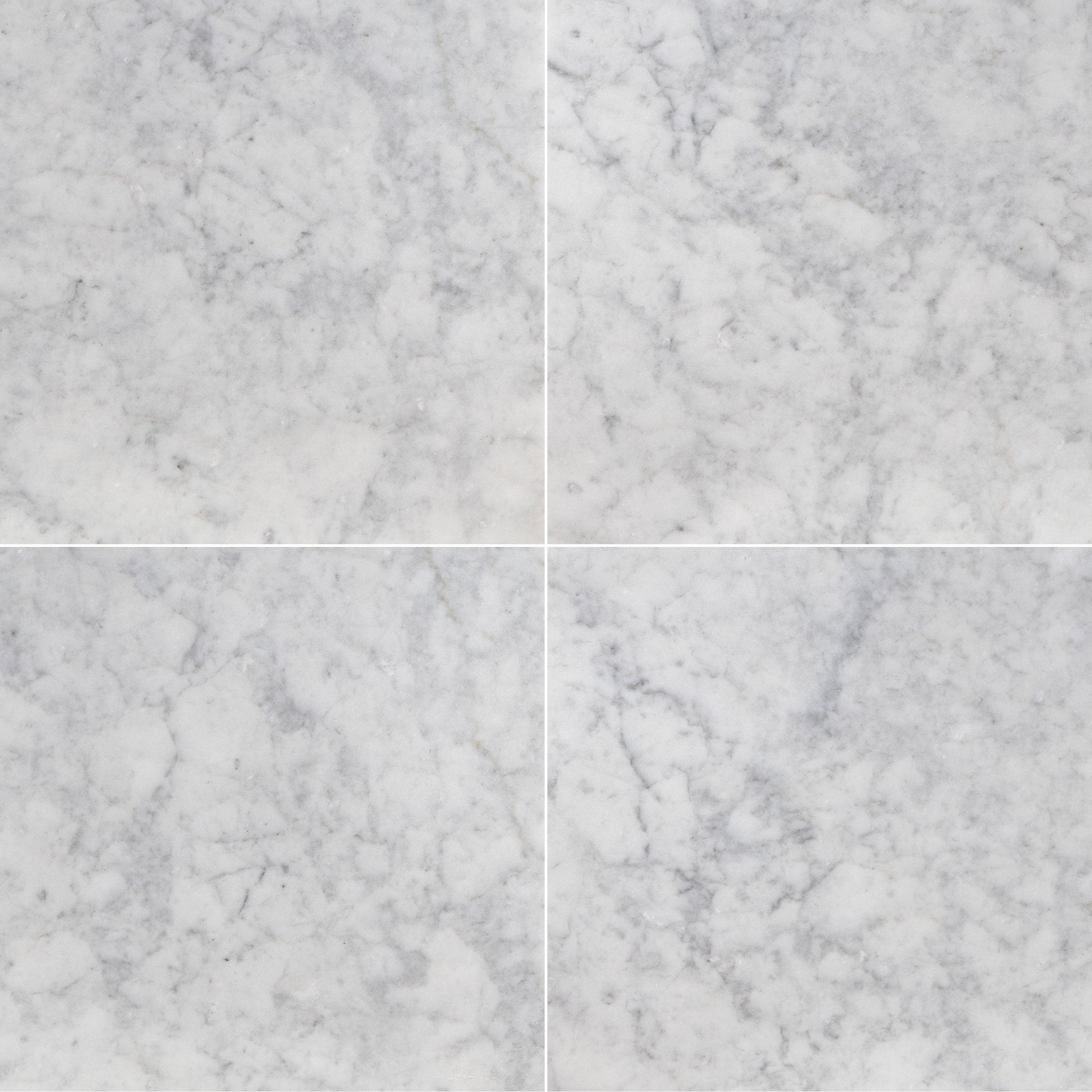 WHITE CARRARA: Field Tile (24"×24"×3/8" | polished)