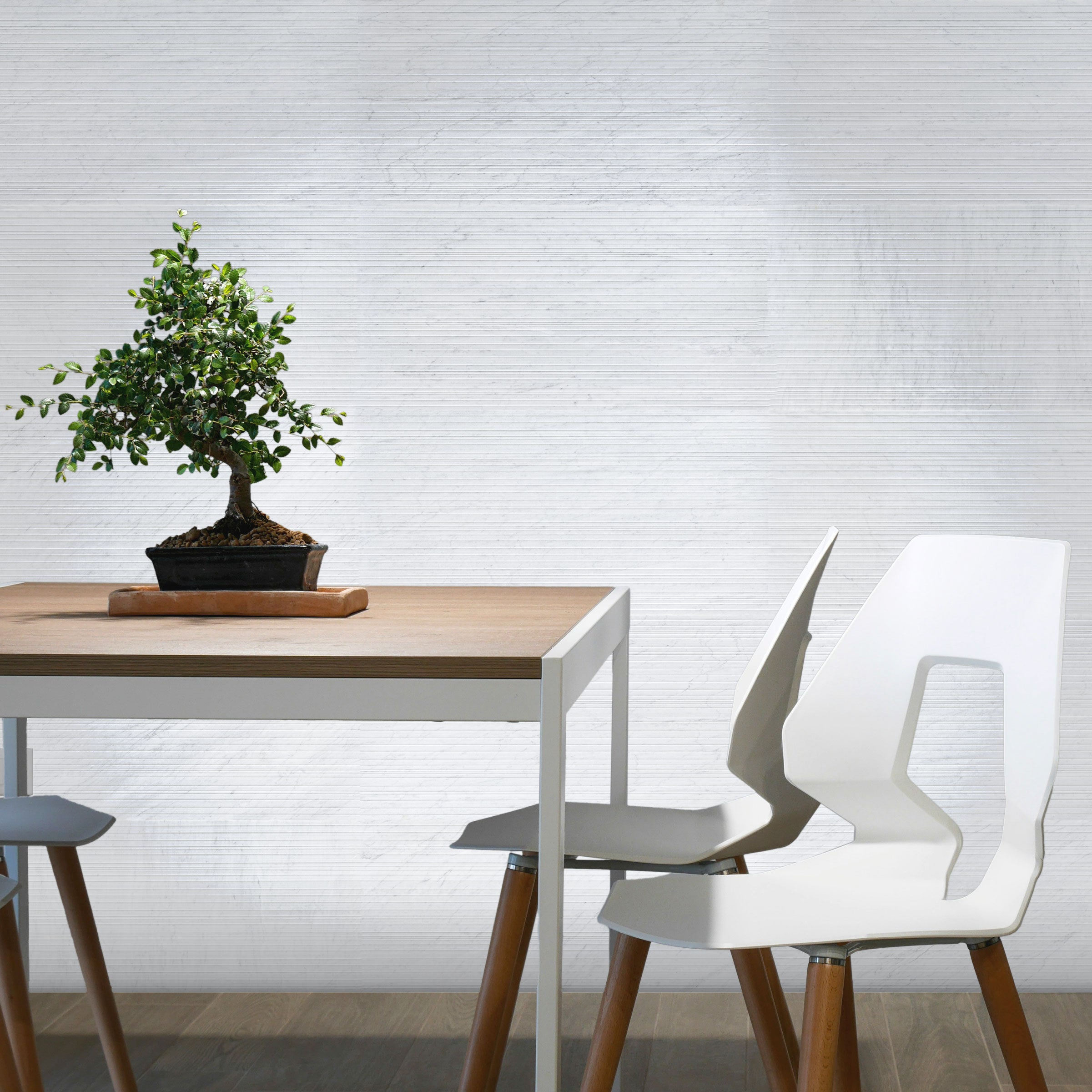 WHITE CARRARA: Field Tile (12"×24"×3/8" | horizon)