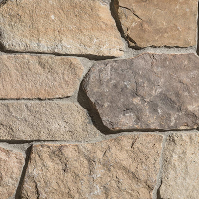 Elkton Ridge Sandstone tile and surface collection