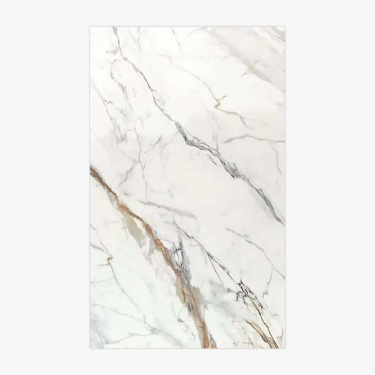 XXL Large Format White field tile, primary product image. Premium marble for floors and walls.