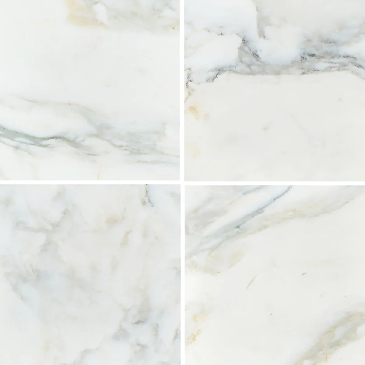 Calacatta Oliva Honed Marble White field tile, product image. Premium marble for floors and walls.