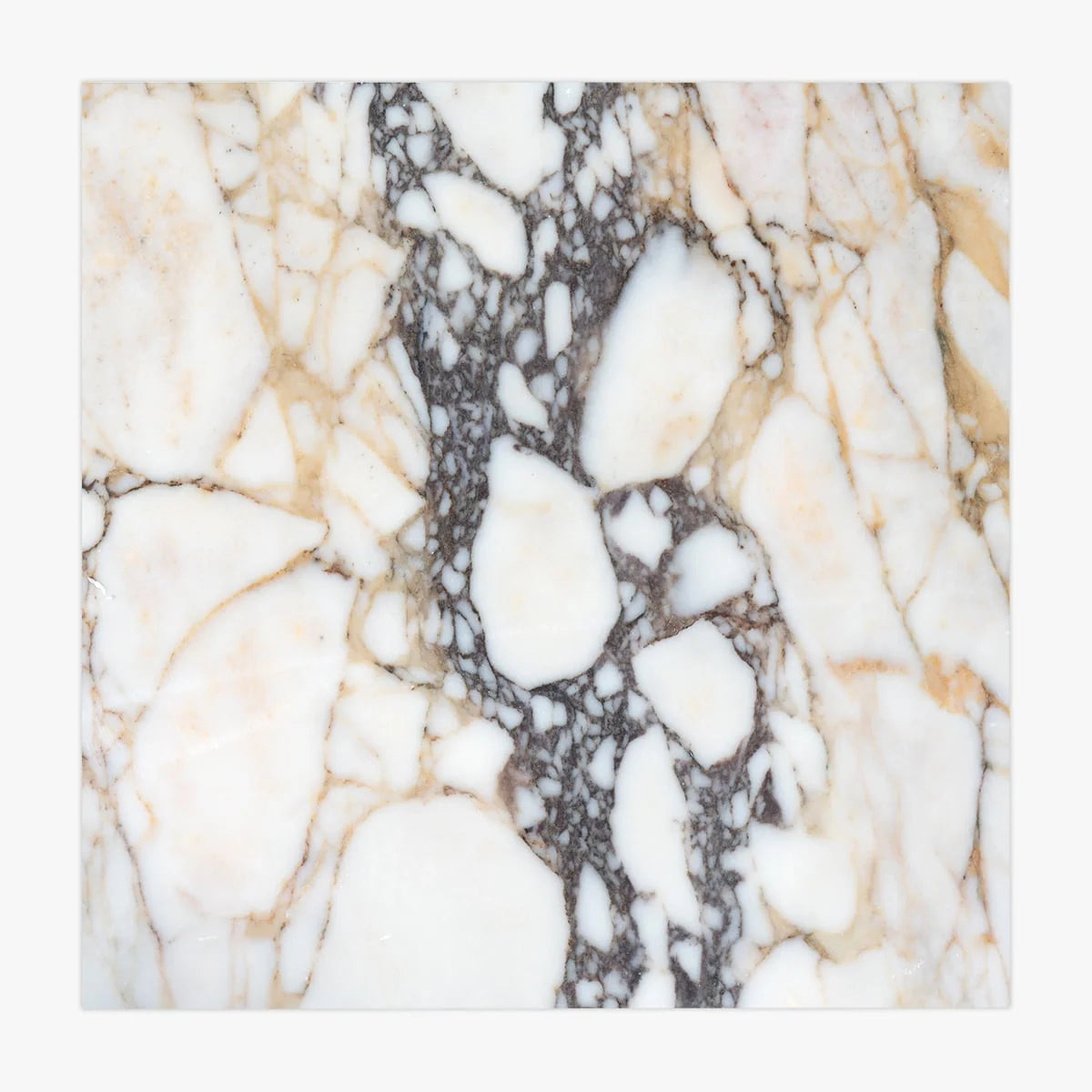 Calacatta Viola Honed Marble White field tile, primary product image. Premium marble for floors and walls.