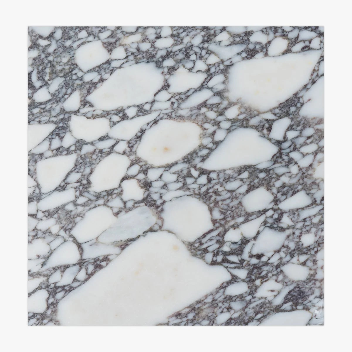 Calacatta Viola Honed Marble White field tile, product image. Premium marble for floors and walls.