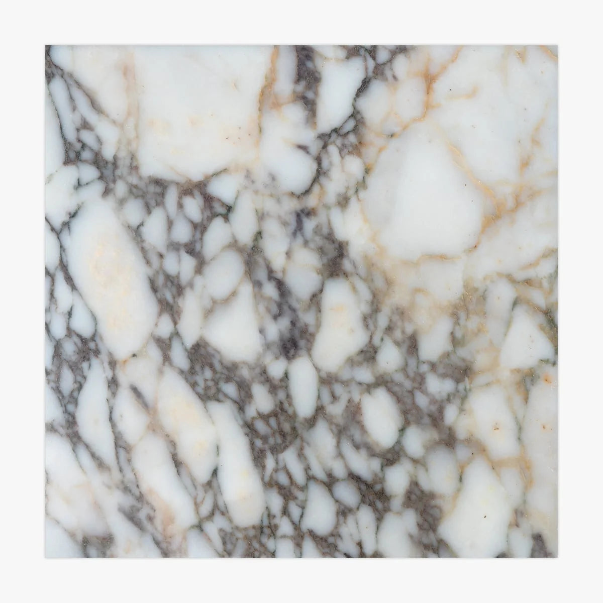 Calacatta Viola Polished Marble White field tile, primary product image. Premium marble for floors and walls.