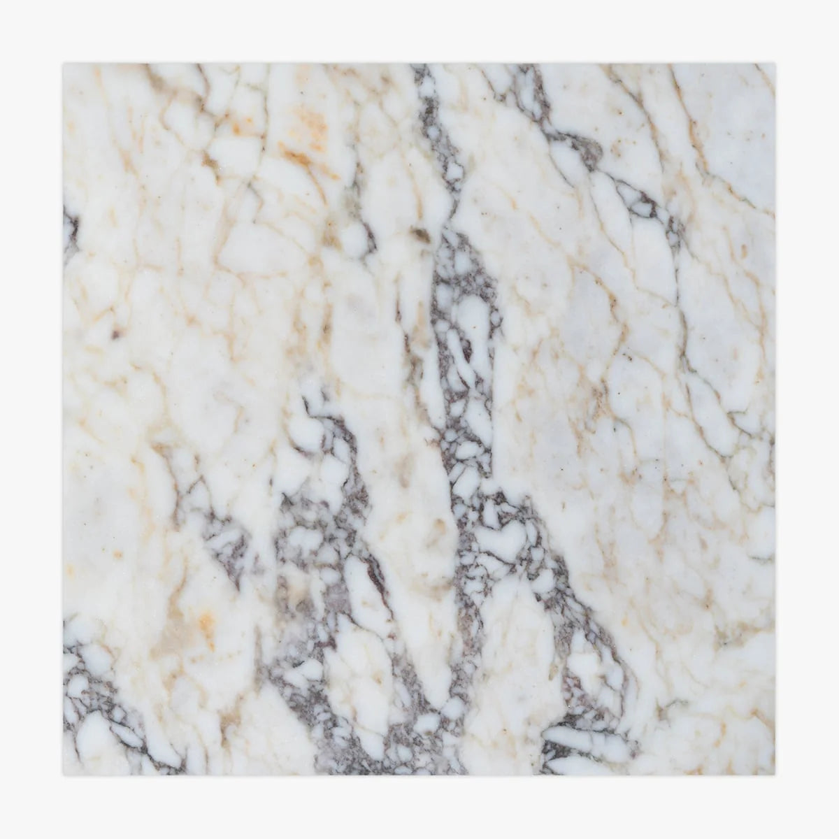 Calacatta Viola Honed Marble White field tile, product image. Premium marble for floors and walls.