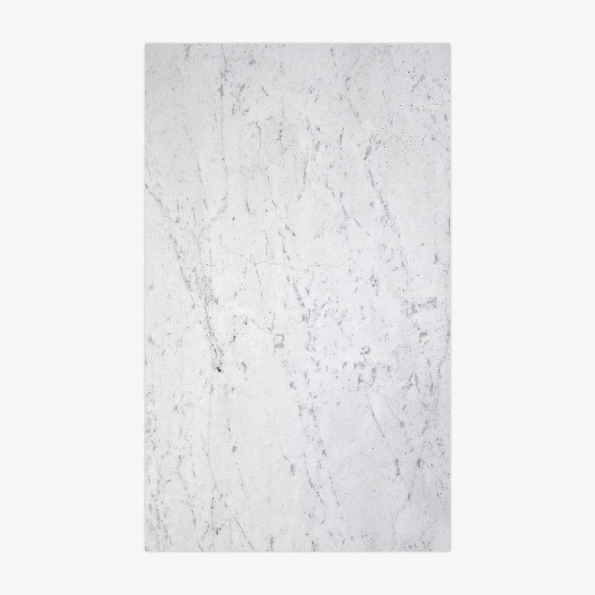 XXL Large Format White field tile, primary product image. Premium marble for floors and walls.