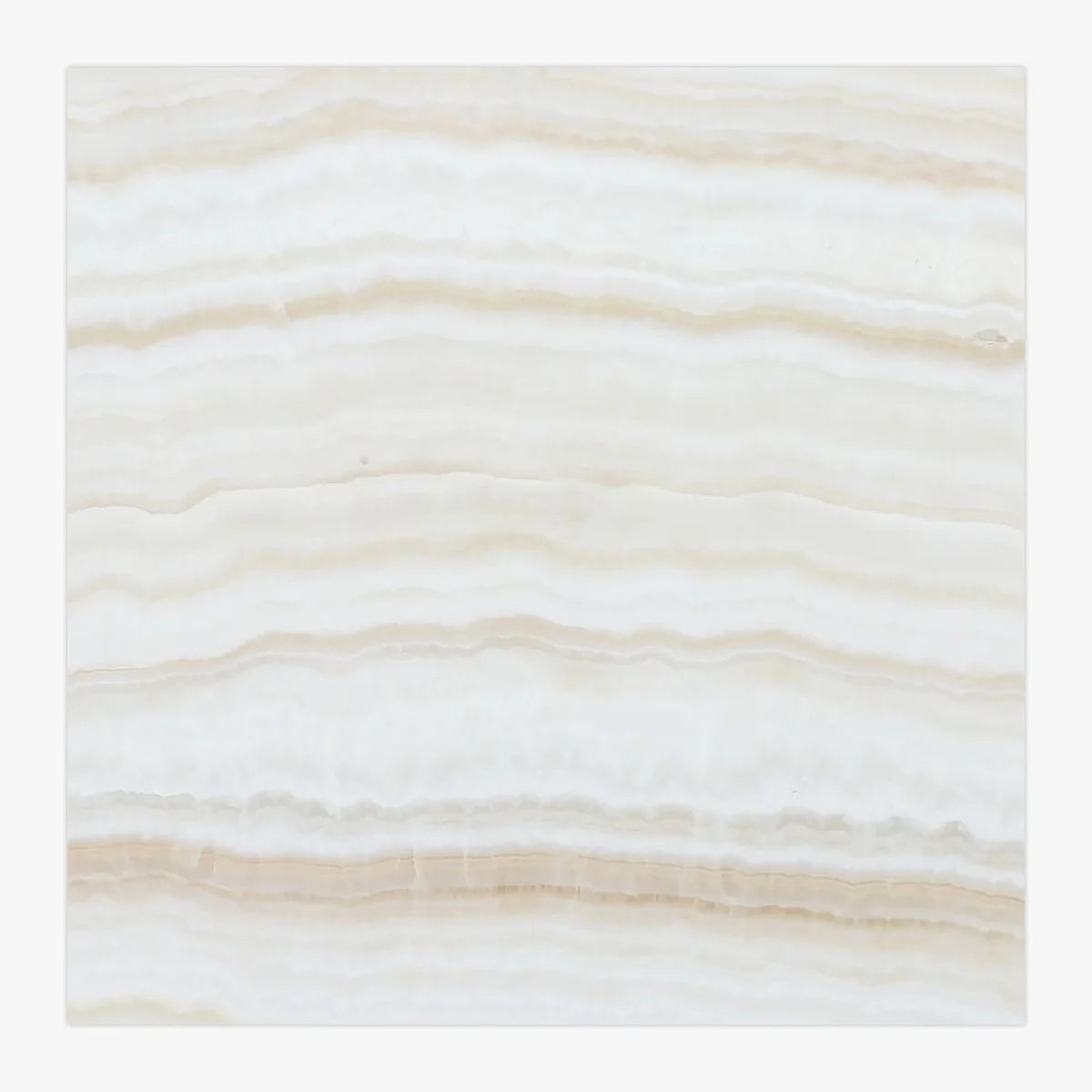 White Onyx White field tile, primary product image. Premium onyx for floors and walls.