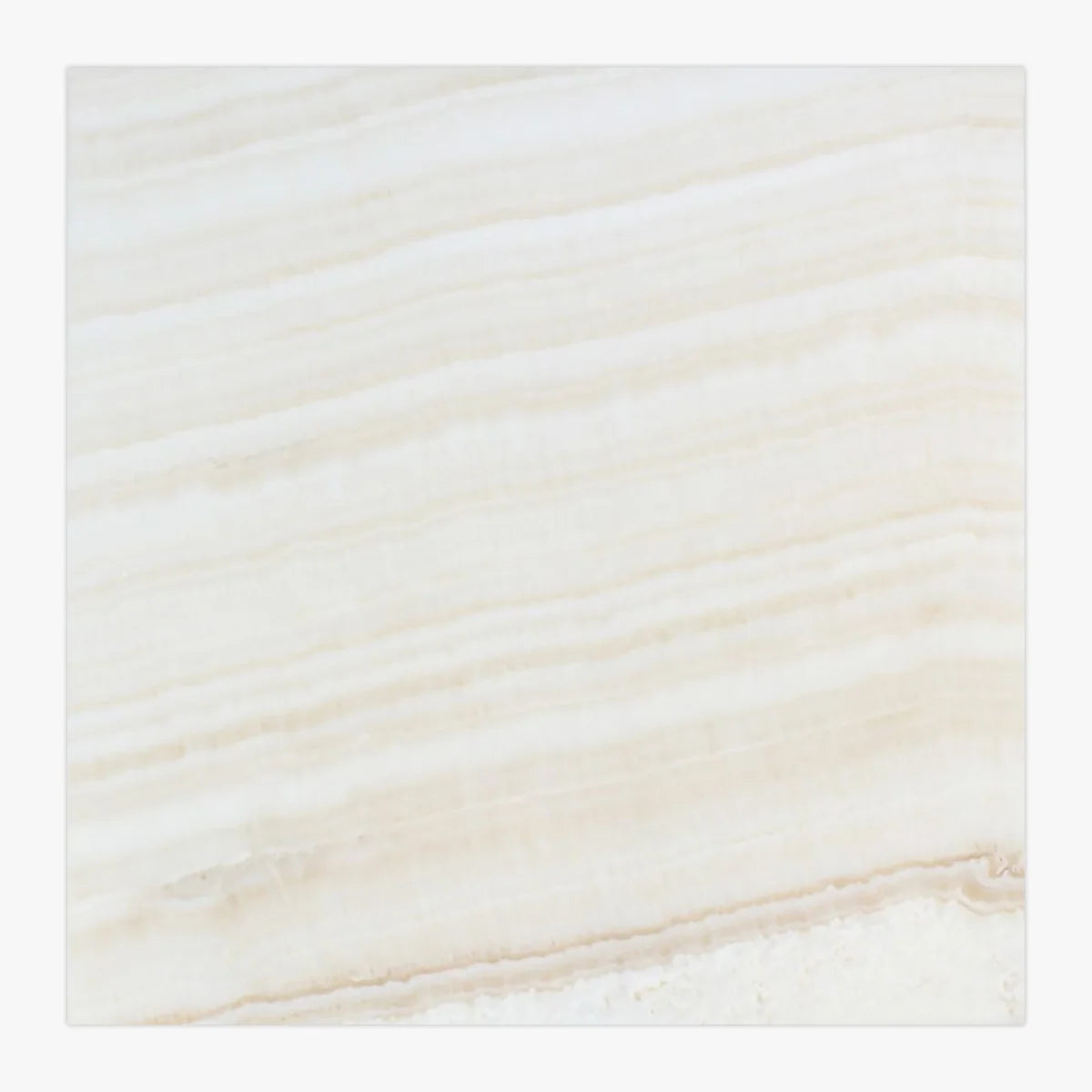 White Onyx White field tile, primary product image. Premium onyx for floors and walls.