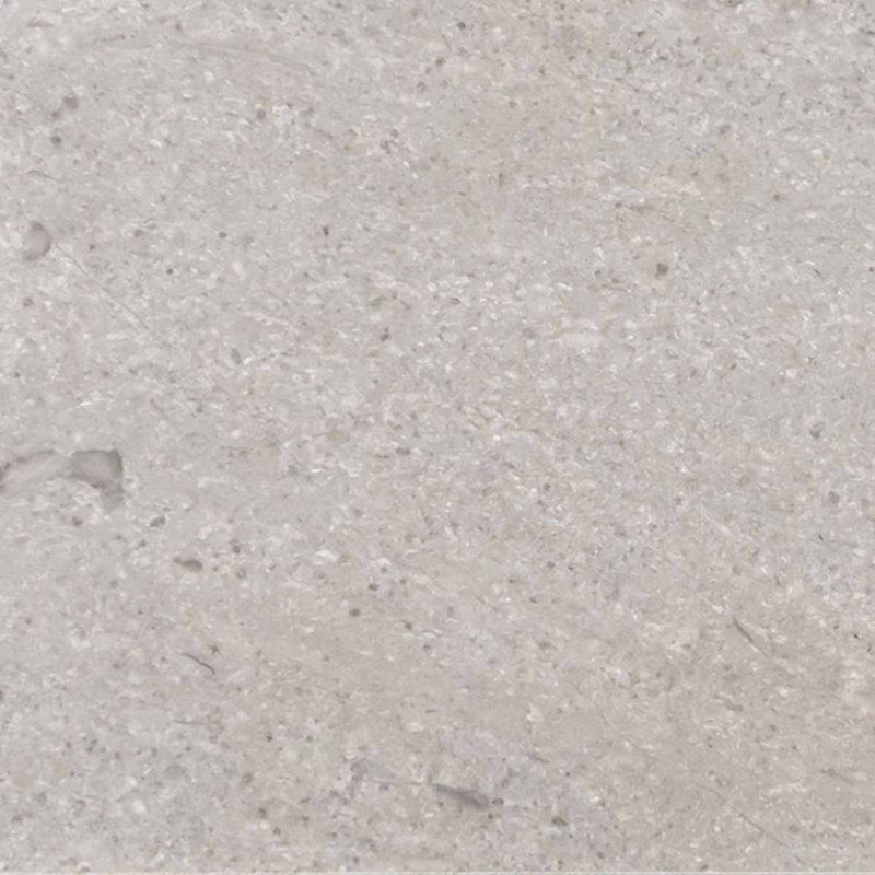 Sand Dollar Marble – Marble collection
