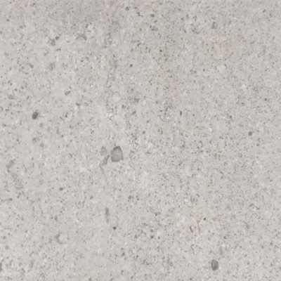 Sand Dollar Marble – Marble collection
