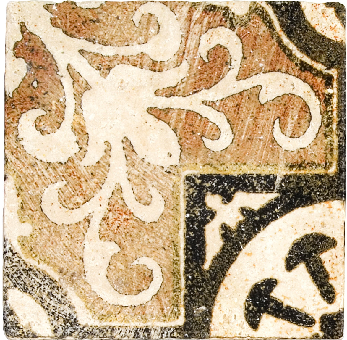 Stone Impressions Amaretti Earth tile — available at Surface Group