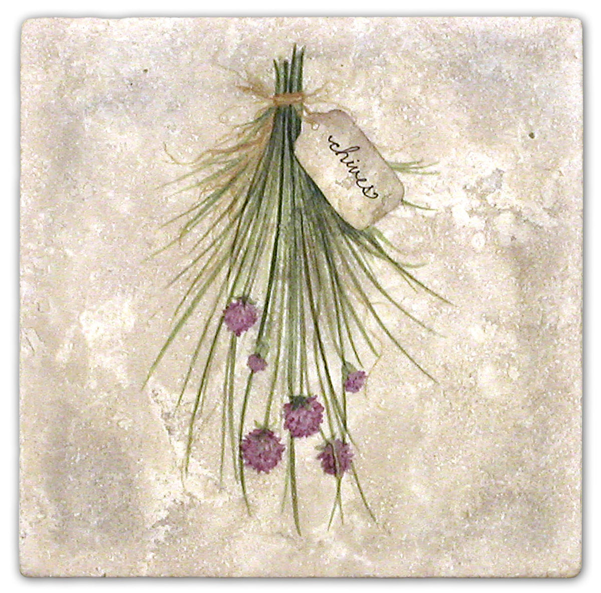 Stone Impressions Herbs tile — available at Surface Group