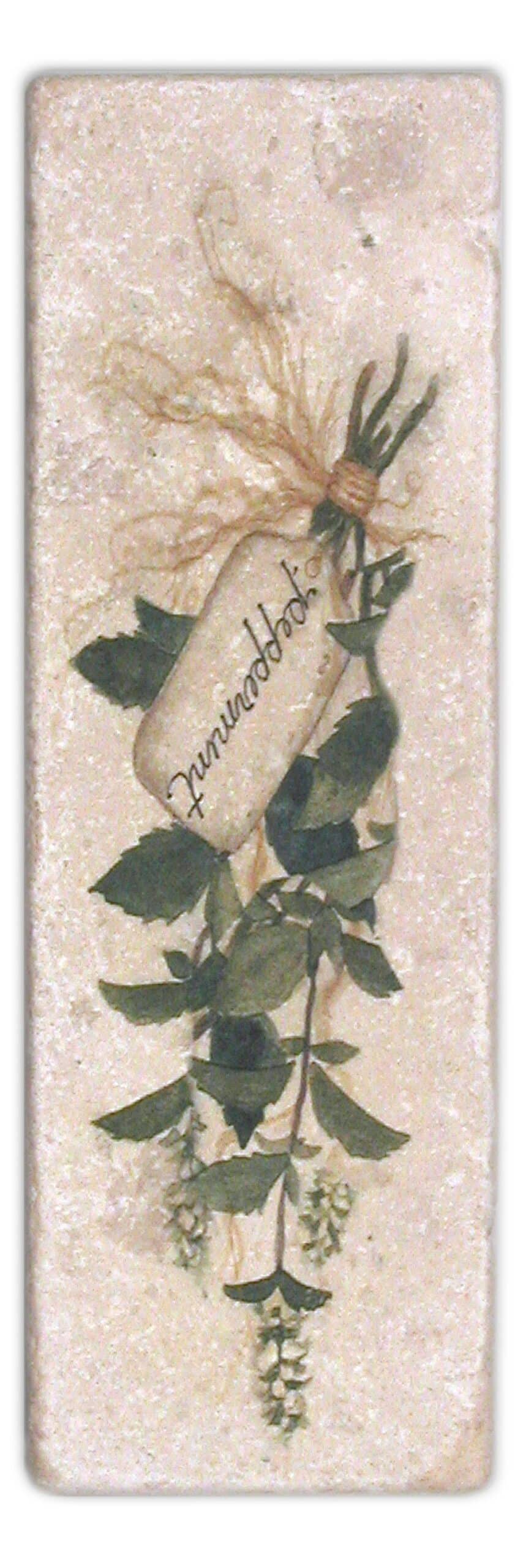 Stone Impressions Herbs tile — available at Surface Group