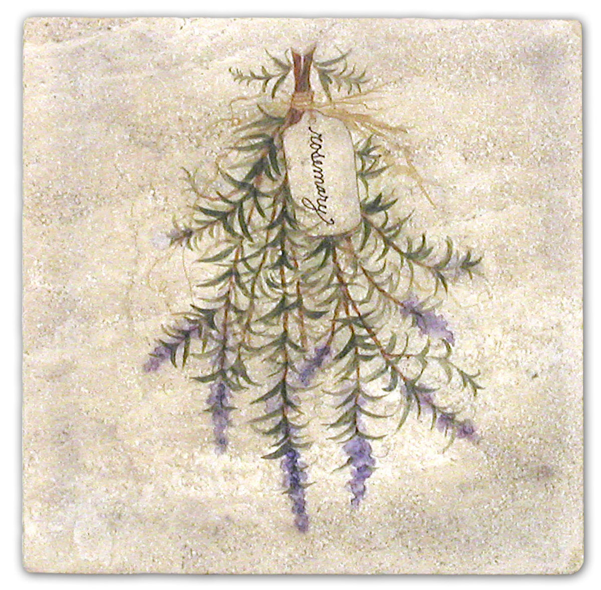 Stone Impressions Herbs tile — available at Surface Group