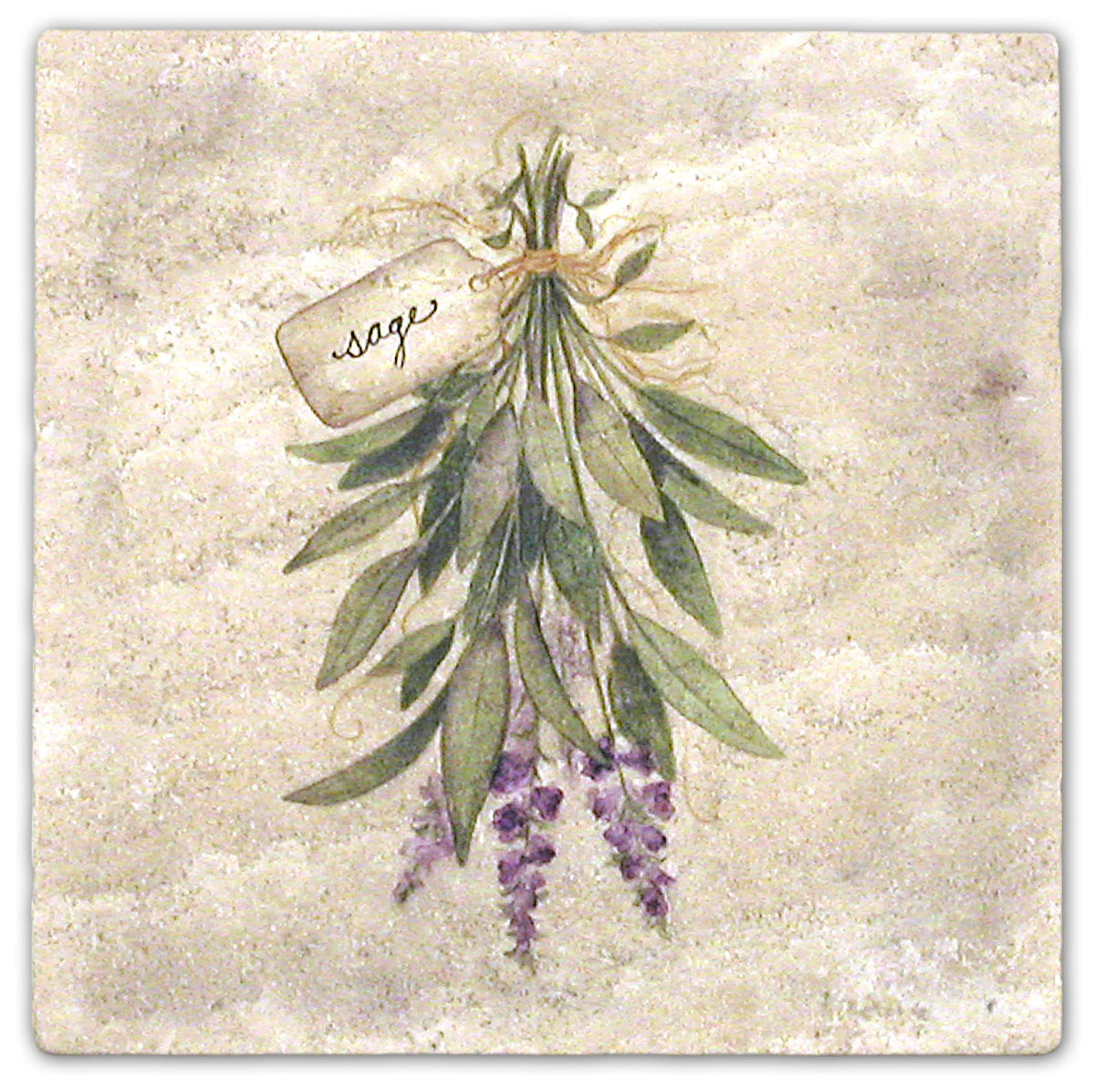 Stone Impressions Herbs tile — available at Surface Group