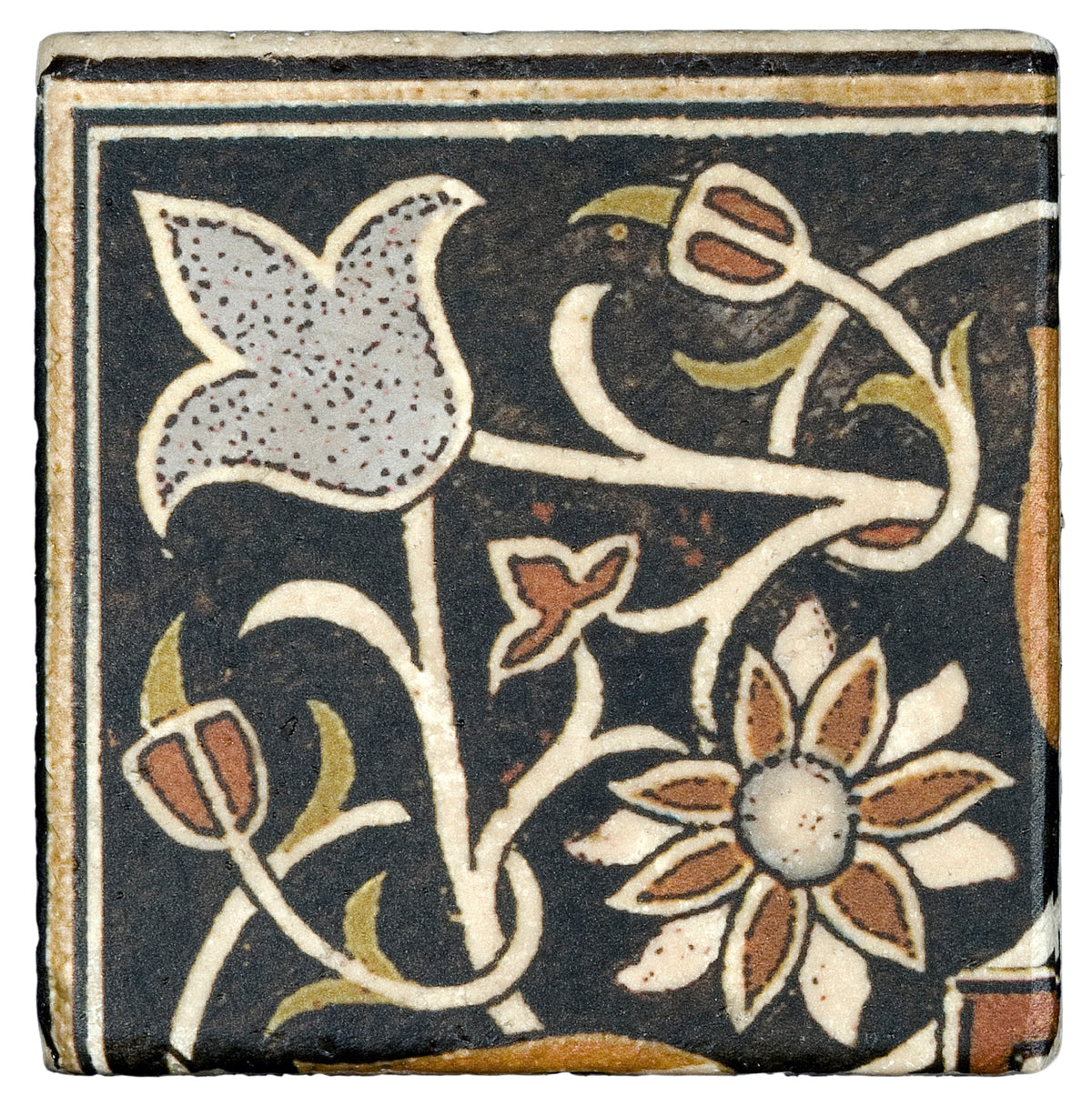 Stone Impressions Marseille Truffle tile — available at Surface Group