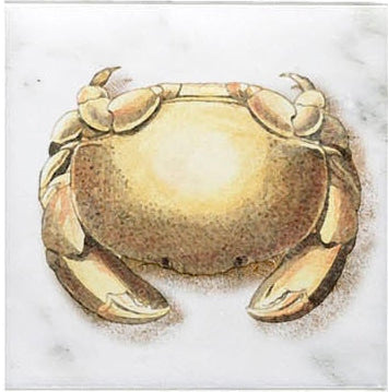 Ocean Life field tile, top-down product view, 4"×4"×3/8" size. Premium travertine for floors and walls.