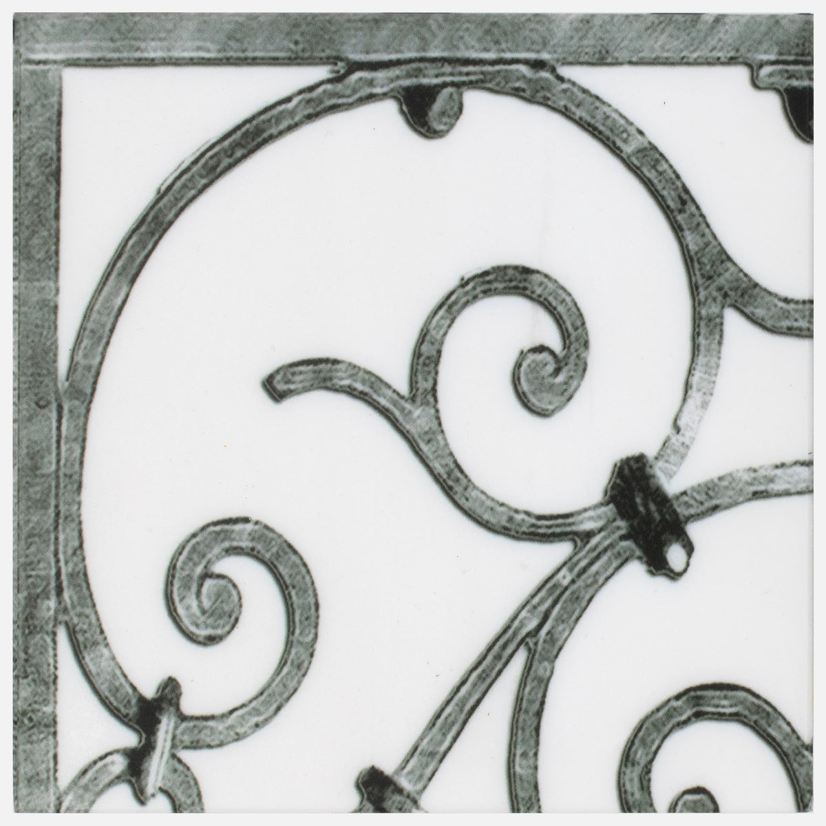 Portella Iron field tile, top-down product view, 6"×6"×3/8" size. Premium travertine for floors and walls.