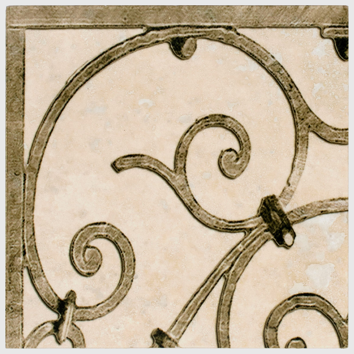 Stone Impressions Portella Sepia tile — available at Surface Group