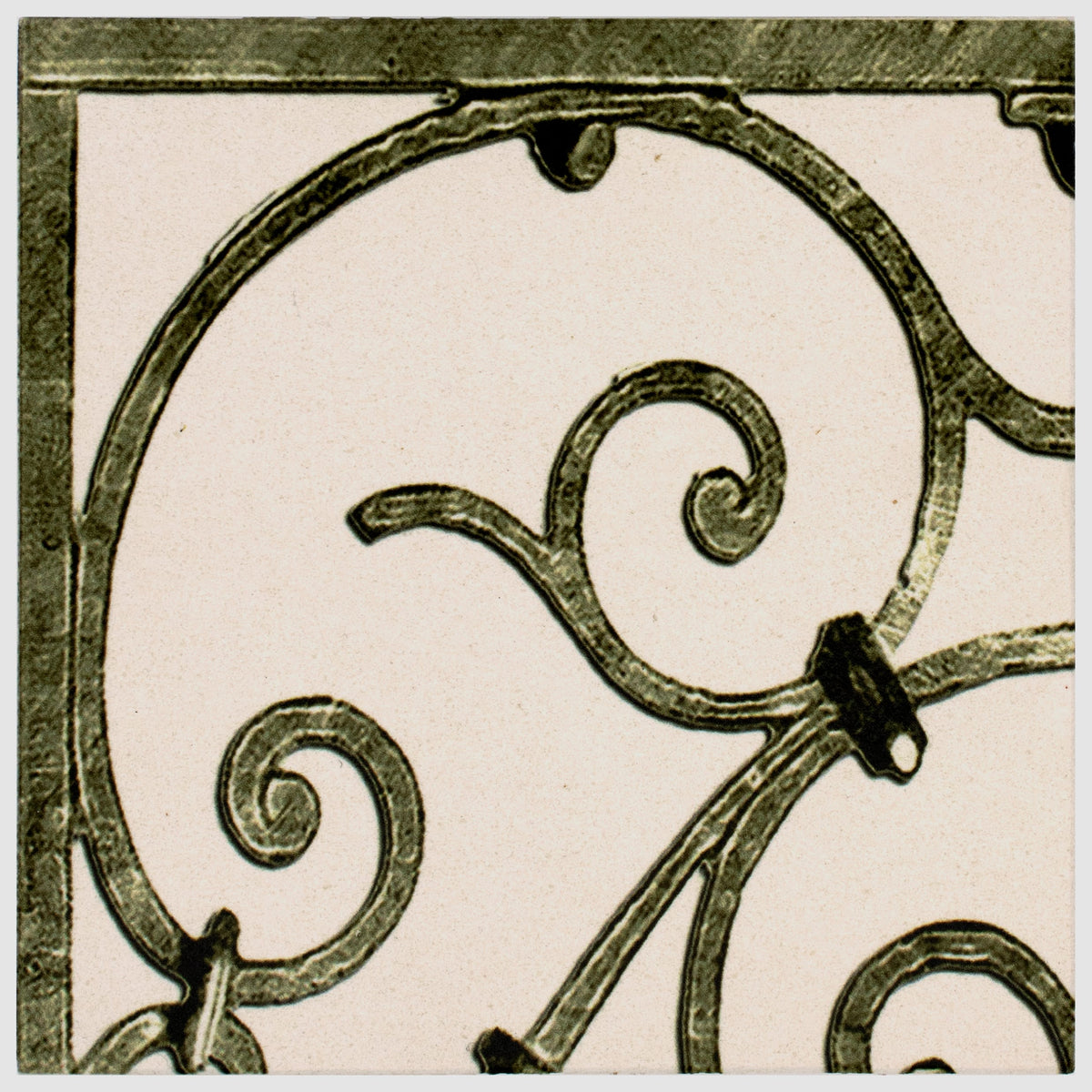 Stone Impressions Portella Verde tile — available at Surface Group