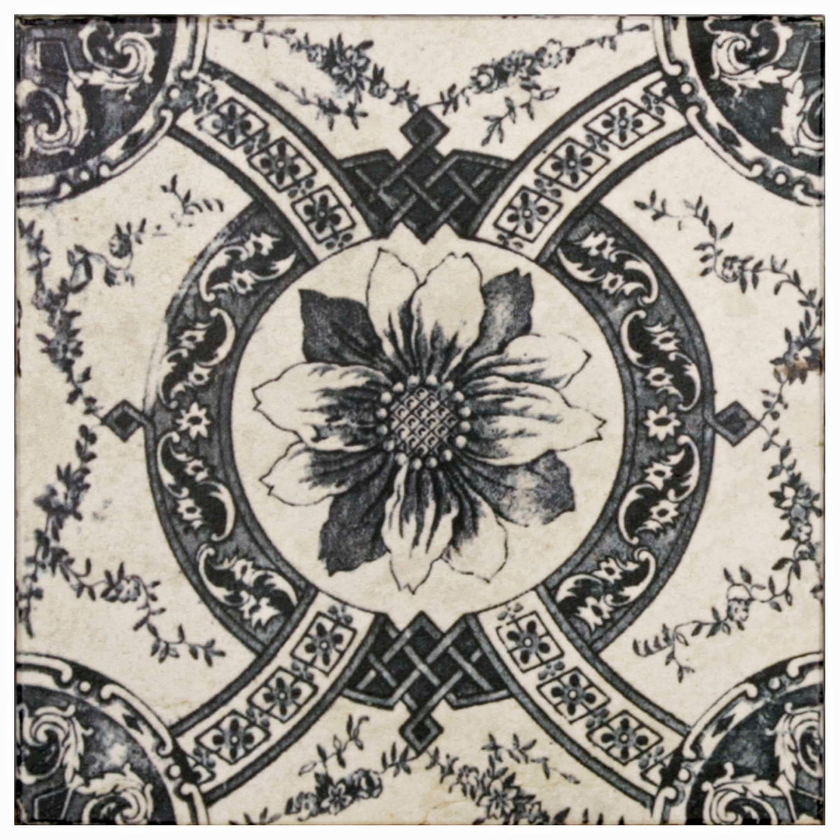 Stone Impressions Saybrook Deco Dots tile — available at Surface Group