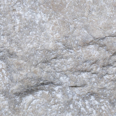 Silver Premium Wall Veneer tile and surface collection