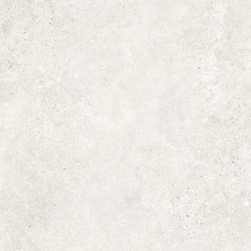 Untamed – Porcelain collection