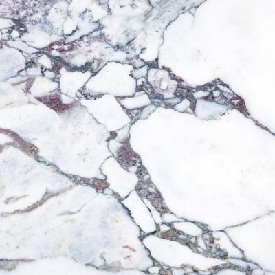 Calacatta Viola Field Tile tile and surface collection