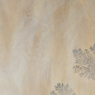 Fossil Sandstone Flagstone – Sandstone collection