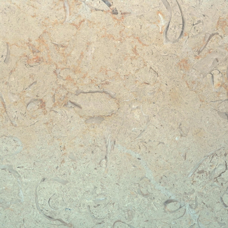 Mt Carmel – Limestone collection