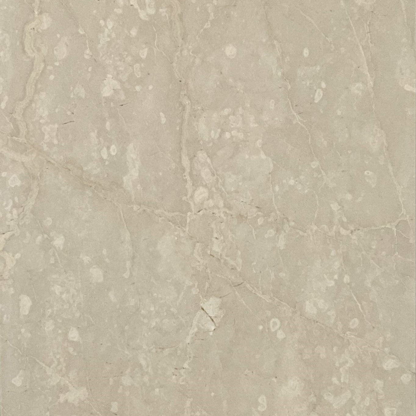 botticino fiorito marble natural stone field tile polished size 12x12x3_8  indoor floor and walls sold by surface group