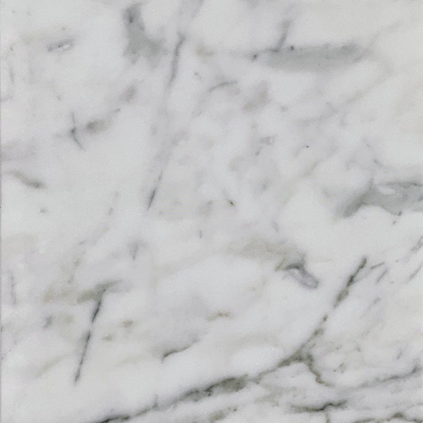 WORLD STONE: Calacatta Marble Field Tile (12"X12"X⅜" | Polished)