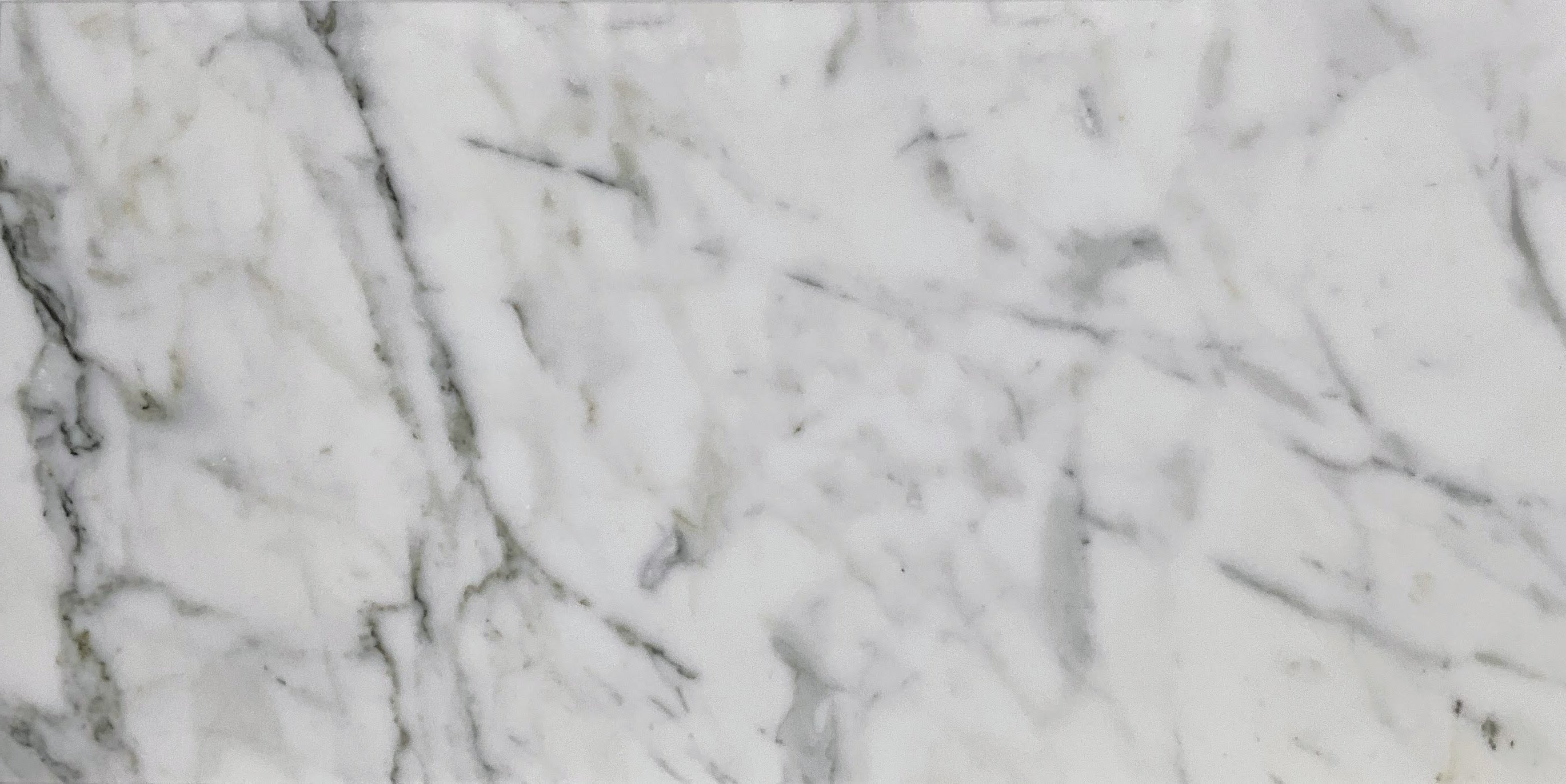 WORLD STONE: Calacatta Marble Field Tile (12"X24"X⅜" | Polished)