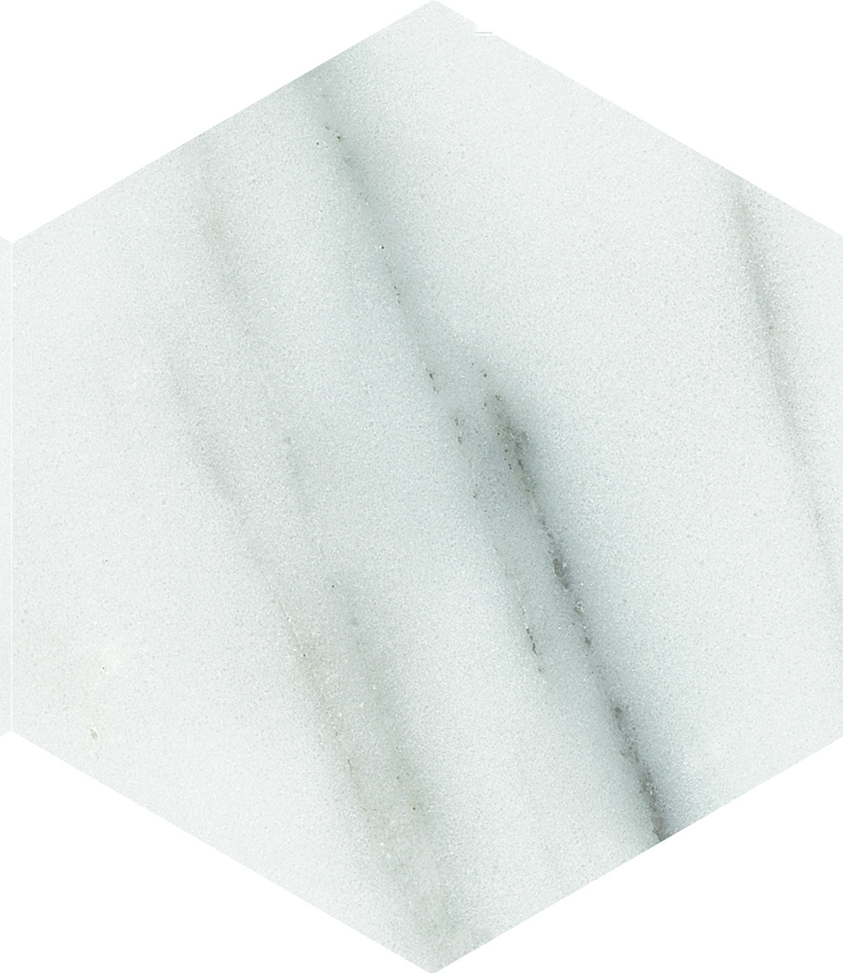PIETRA: Calacatta Hexagon Field Tile (5.5"x6.3"x8.5-mm | matte)