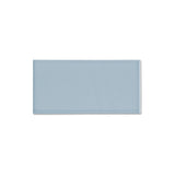 Hampton Stellar Blue Rectangle (4"x8")
