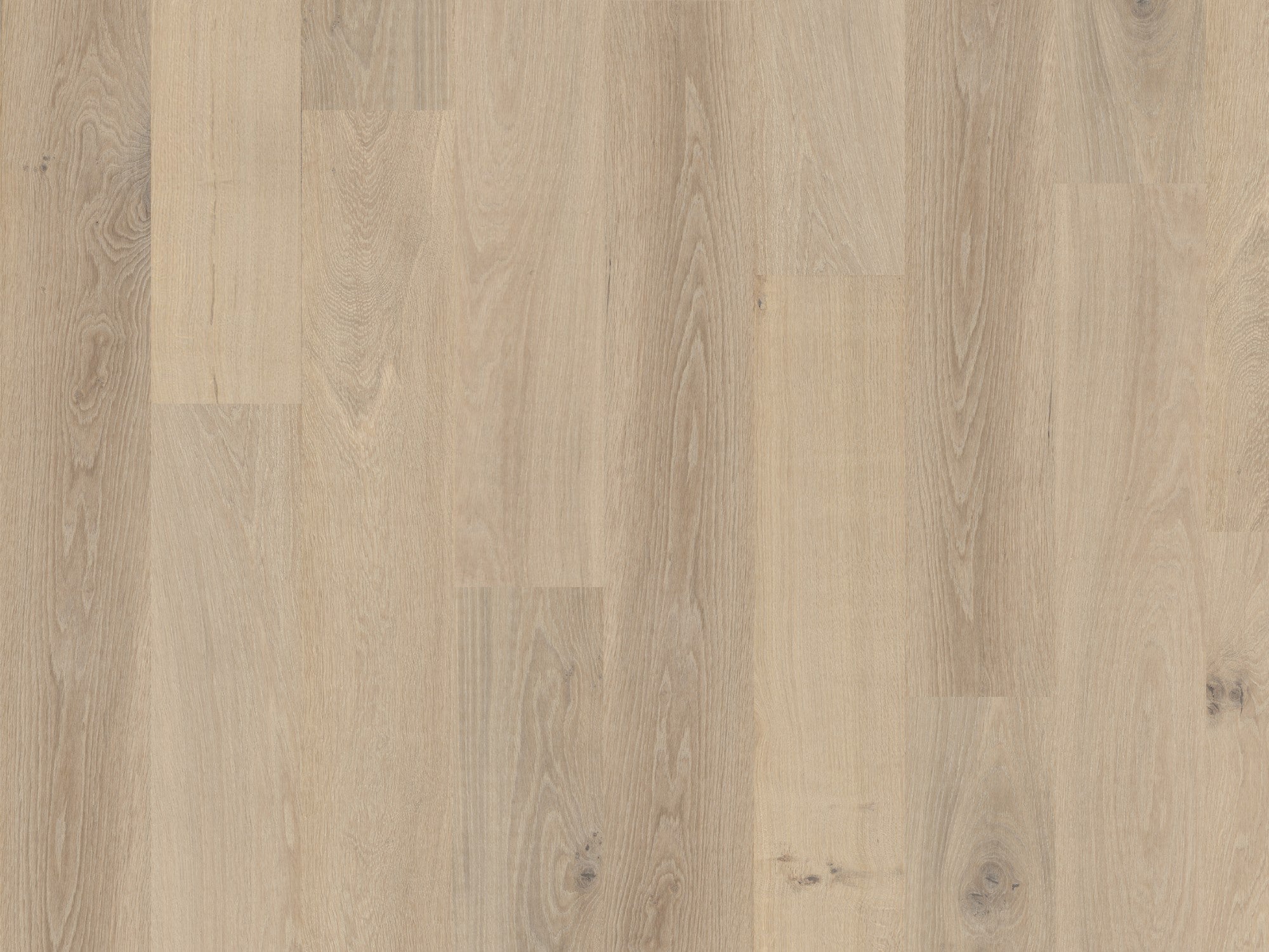 英語版　Taiga BUY ONLINE: Taiga Terra Engineered Hardwood Flooring | European
